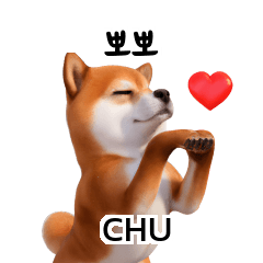 Doge Shiba Inu Korean Thai translation