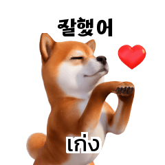 Doge Shiba Inu Korean Thai translate