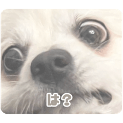 hana_20221029193411