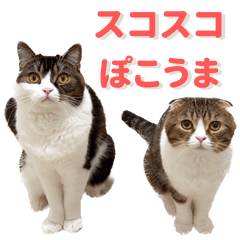 スコスコぽこ太郎&うま次郎スタンプ - LINE スタンプ | LINE STORE スコスコぽこ太郎&うま次郎スタンプ - LINE スタンプ | LINE STORE
