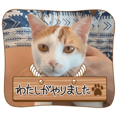miko_20221030022501