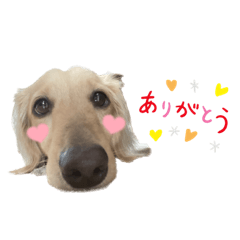 mizuki_20221030073506