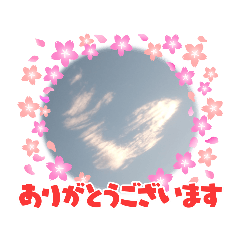 SKY(2022/10)