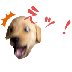 Daily life of kinachan  part 1