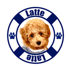 Latte_20221030122621