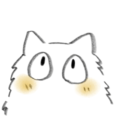 ネコ　モモ