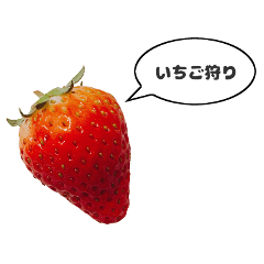 Happy Happy strawberries