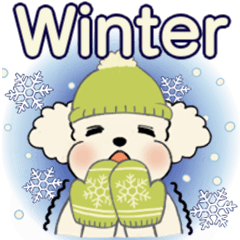 Lovely toy poodle (heartwarming winter)