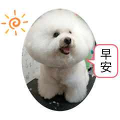 Lin Xuanrui-Pets