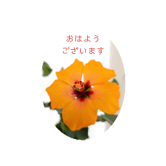 smile_20221030143708