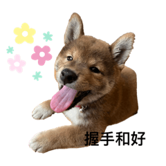 我是可愛的咘咘