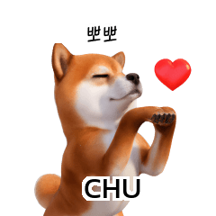 Doge Shiba Inu Dogs Korean Thai KR TH