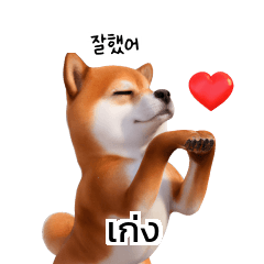 น้องหมาที่น่ารัก Doge การแปลภาษาเกาหลี