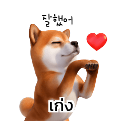 Doge Shiba Inu Dogs Korean Thai TH KR