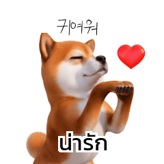 Cute Shiba Inu KR TH Korean Thai