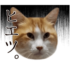 karinsun_20221030155626