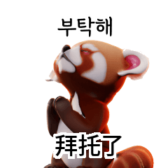 Cutie Red Panda Translate KR TW