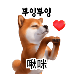 Shiba Inu Traditional Chinese Translate