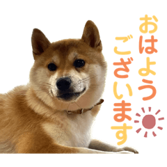 ISOROKU_20221031100425