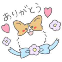 hajiya