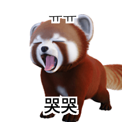 紅熊貓韓語翻譯 Korean KR