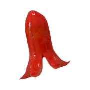 maybe octopus sausage