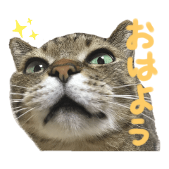 kanna._20221030192706