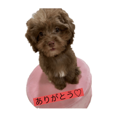 Akko_20221030234343