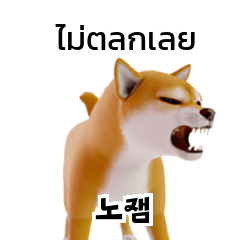 Doge Shiba Inu Dogs Korean Thai TH KR A