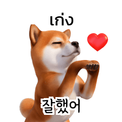 Doge Shiba Inu Dogs Korean Thai TH KR B