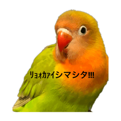 yuka_20221030215222d