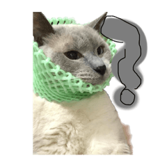 Pirorinn_20221031154551