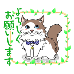 BB_20221031114654