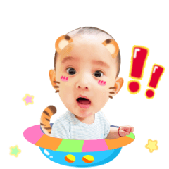福虎Senwei