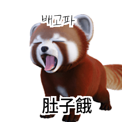 Cute Red Panda Translate KR TW CN D