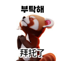 Cute Red Panda Translate KR TW CN A