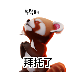 Cute Red Panda Translate KR TW CN F