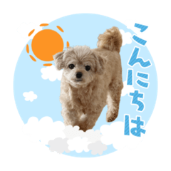 yuka_20221031185937