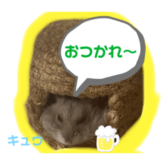 nanairo_20221031225408