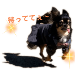 saori_20221031182855