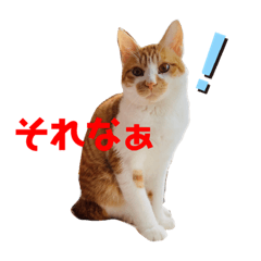 YUTO_20221031205740