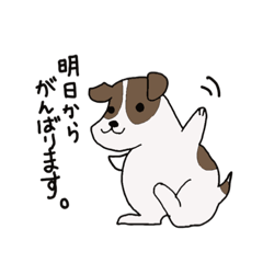 Acchi_20221031161926 – LINE stickers | LINE STORE