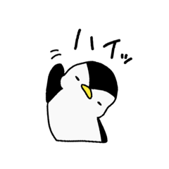 penguin_Kazumasa