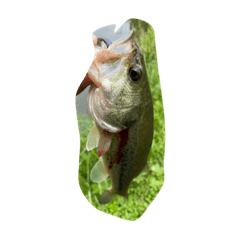 Jinjin_20221031221335