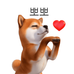 Shiba Inu KR