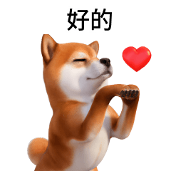 Shiba Inu TW CN 40P