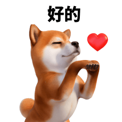 3D Shiba Inu 40P