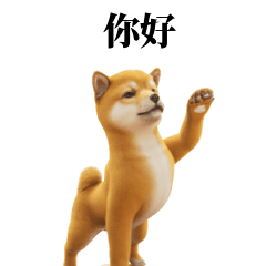 Shiba Inu Doge TW CN 40