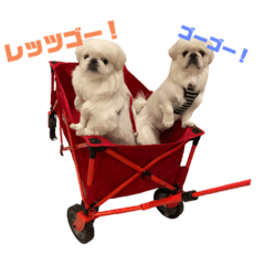 mizuki_20221101151448