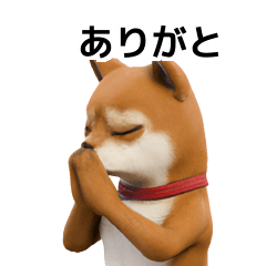 Shiba Inu Doge 40P